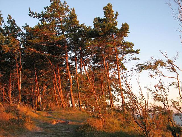 IMG_0565.JPG