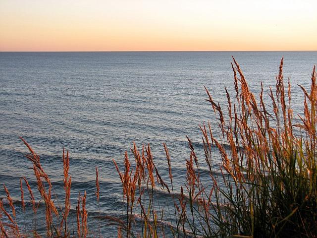 IMG_0571.JPG