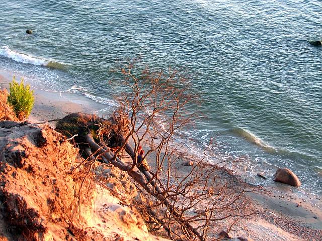 IMG_0575.JPG