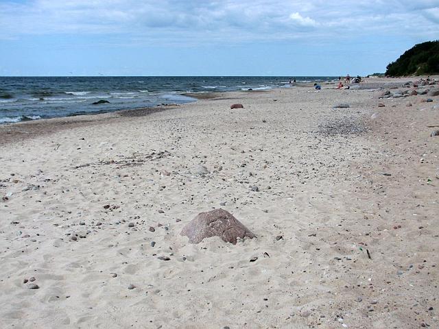 IMG_3015.JPG