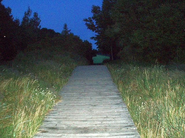 P7220083.JPG