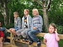 IMG_0810