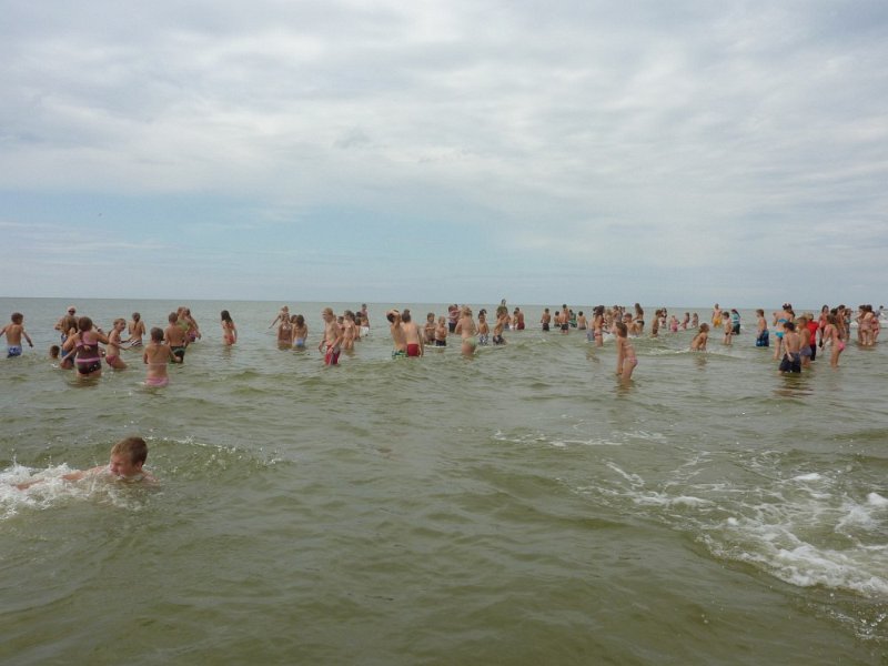 P1010651.jpg
