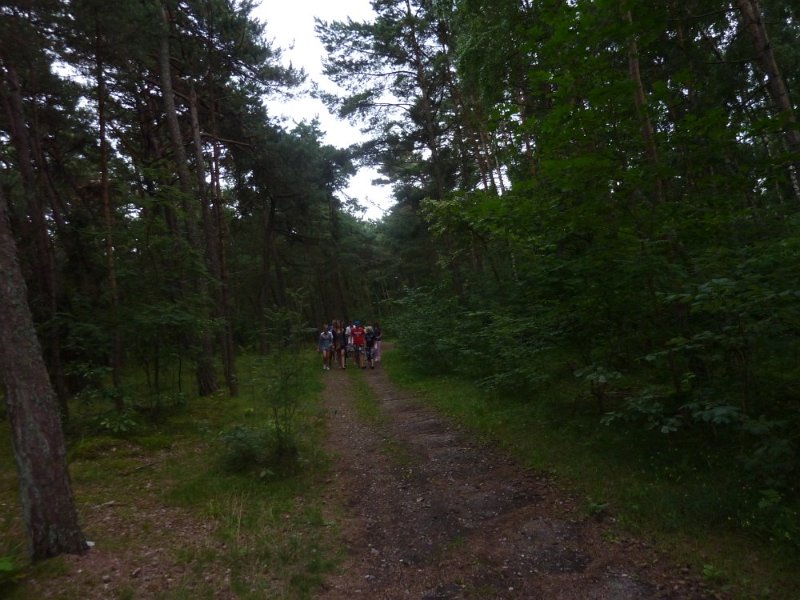 P1010764.jpg