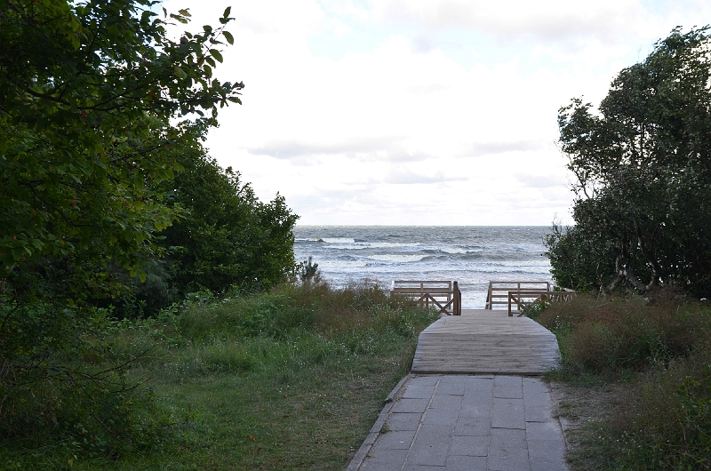 DSC_0425-375.jpg