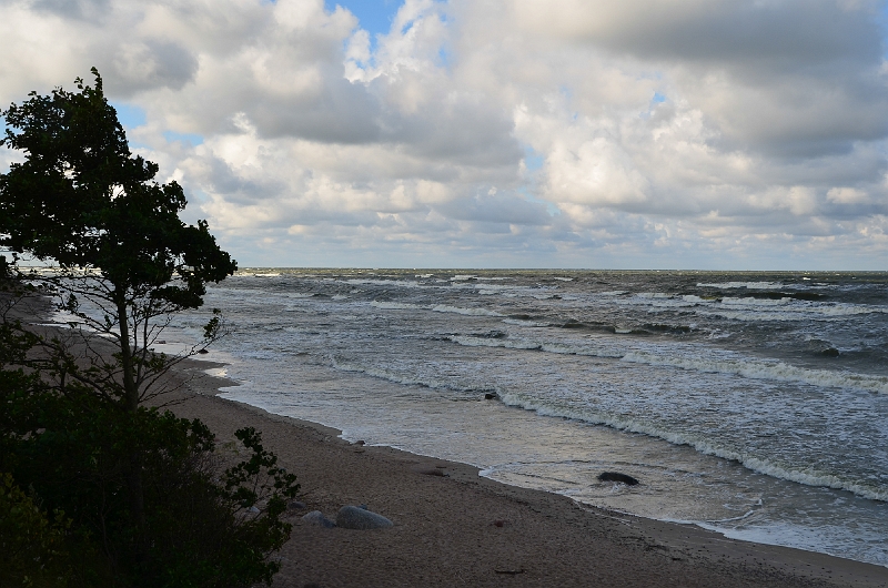 DSC_0433-383.jpg