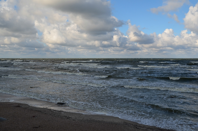 DSC_0435-385.jpg
