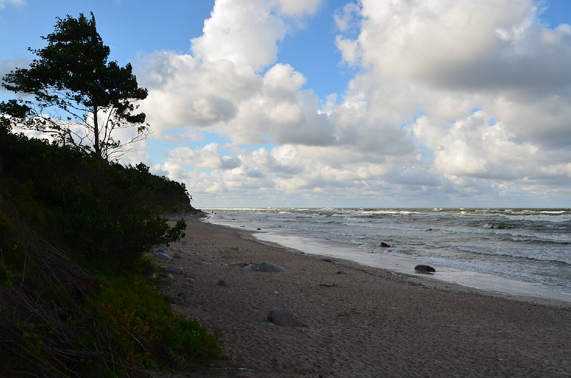 DSC_0437-387.jpg