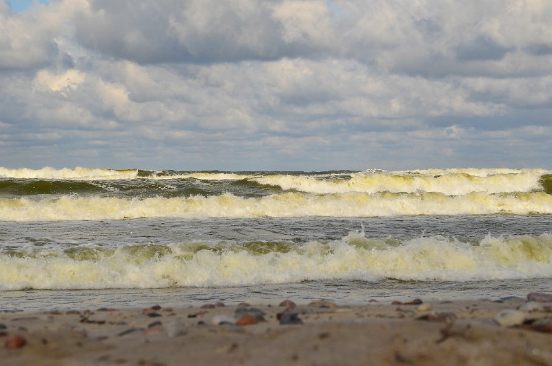 DSC_0444-394.jpg