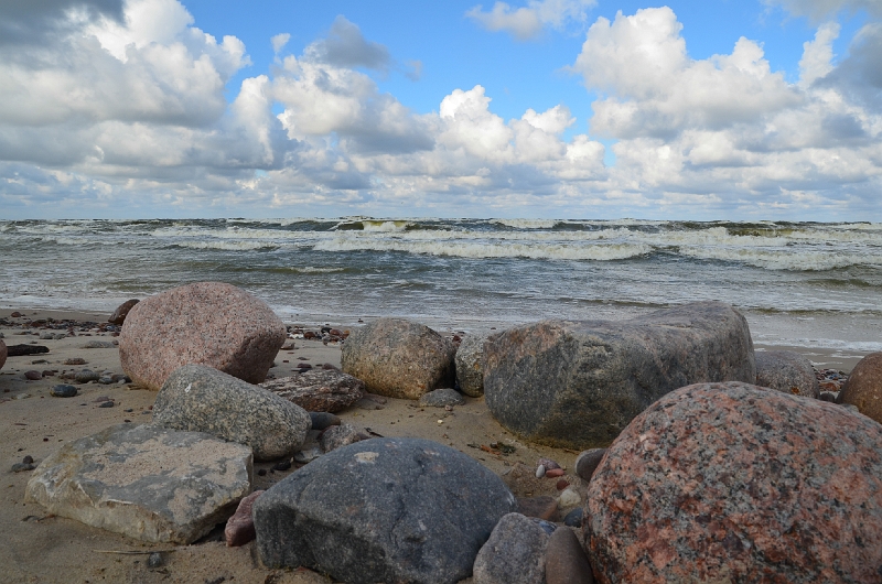 DSC_0454-404.jpg