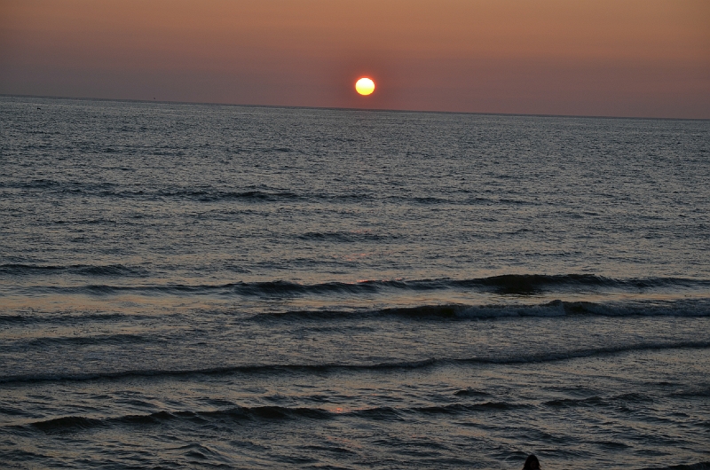 DSC_0754-468.jpg
