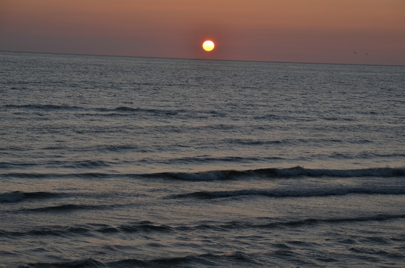 DSC_0755-469.jpg