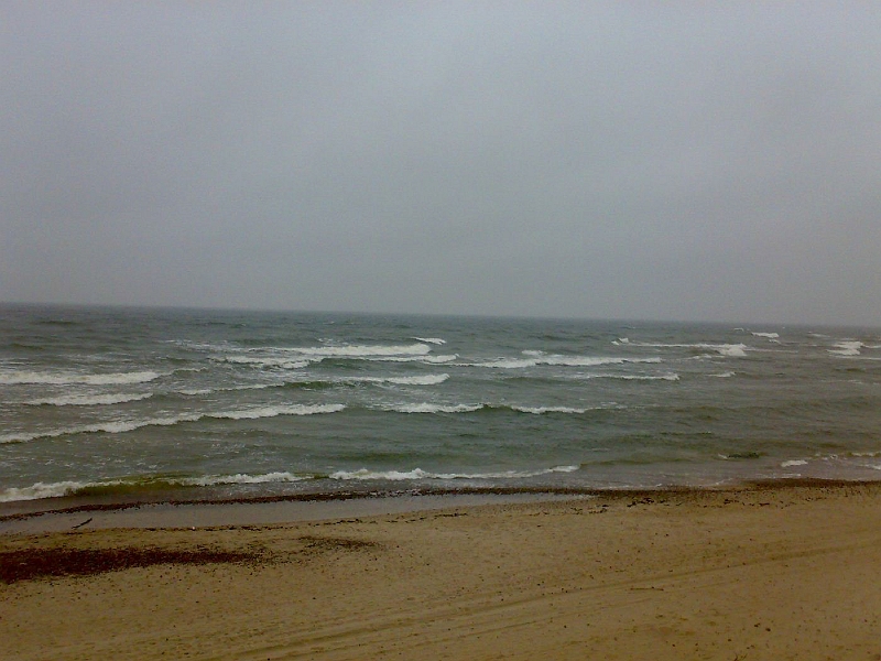 20090317654-571.jpg