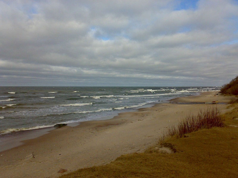 20090318659-574.jpg