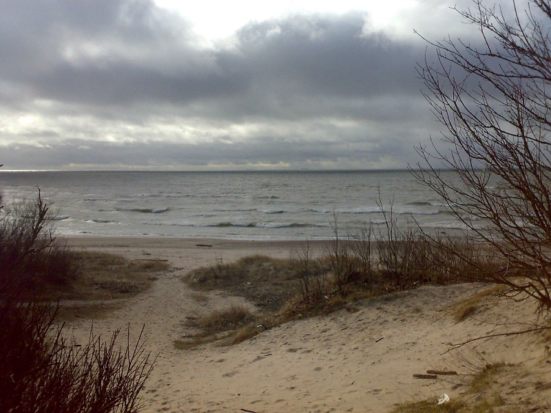 20090318662-577.jpg