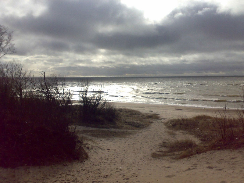 20090318663-578.jpg
