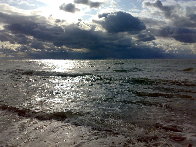 20091013951-592.jpg