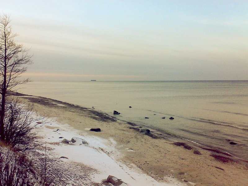 200912181176-596.jpg