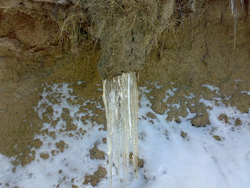 200912181179-599.jpg