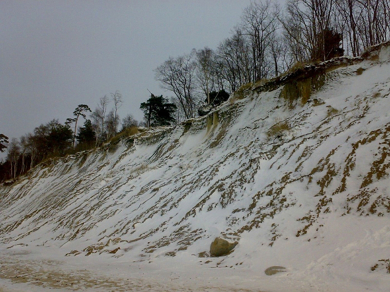 201001071211-613.jpg