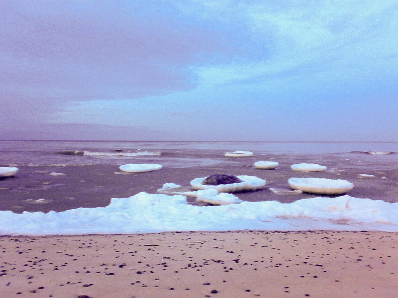 201001111223-625.jpg