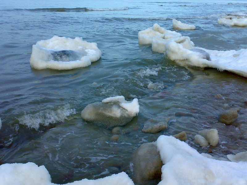 201001111229-628.jpg
