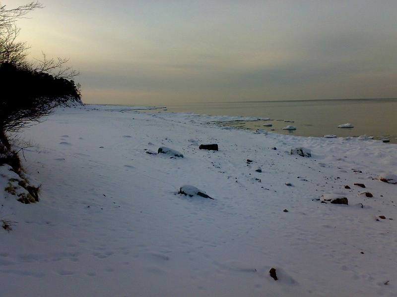 201001211254-631.jpg
