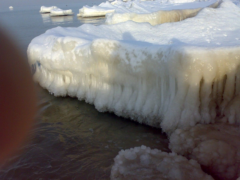 201001211257-634.jpg