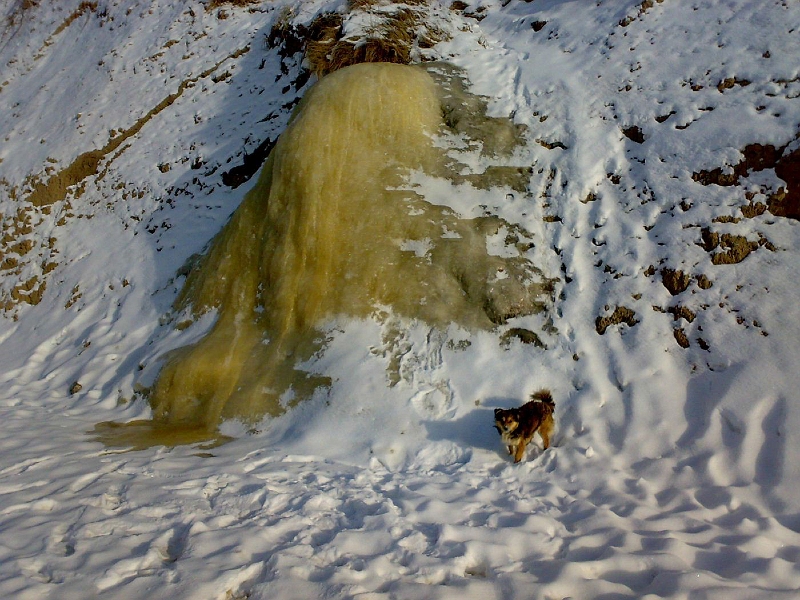201001221267-639.jpg