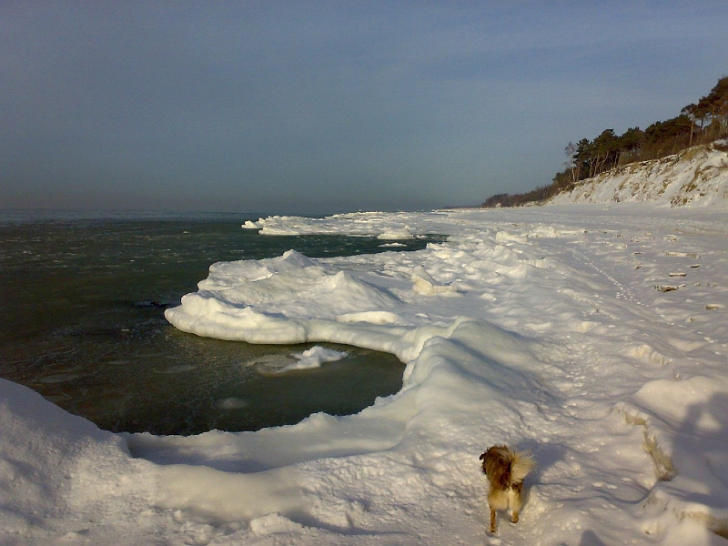 201001221270-642.jpg