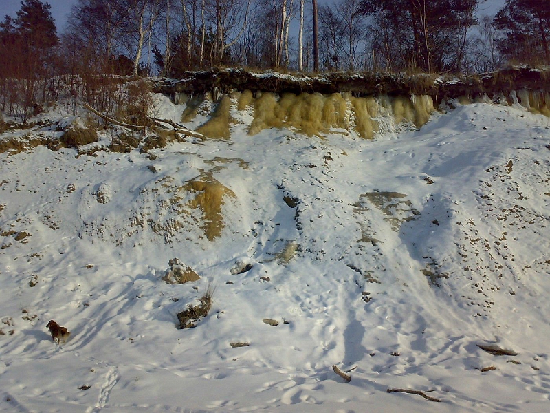 201001221272-644.jpg