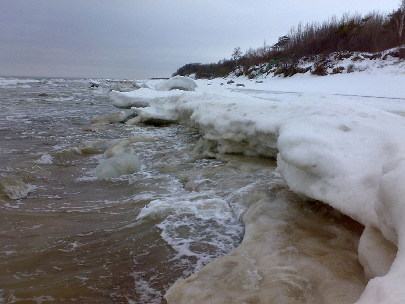 201002241373-657.jpg