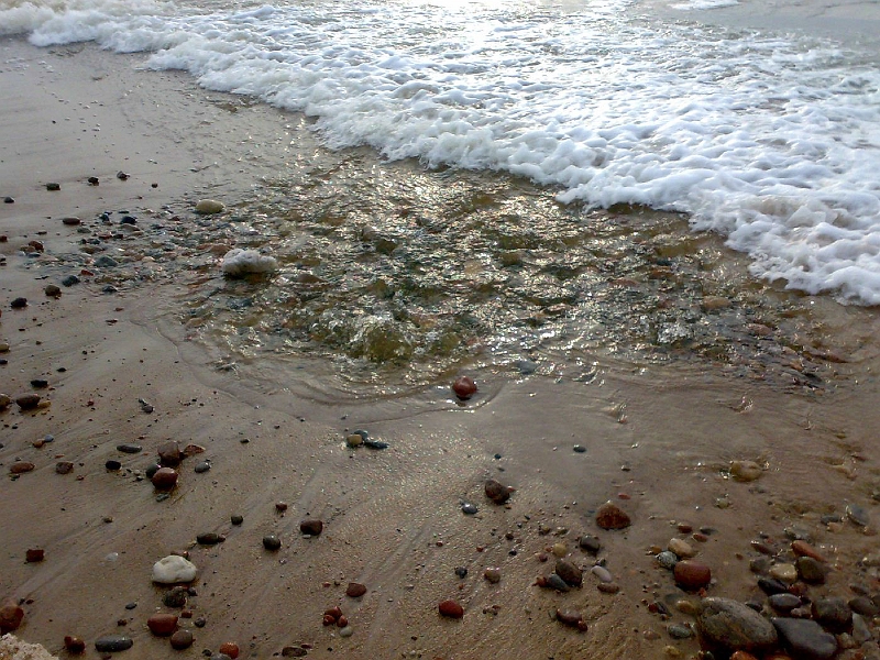 201003051418-677.jpg