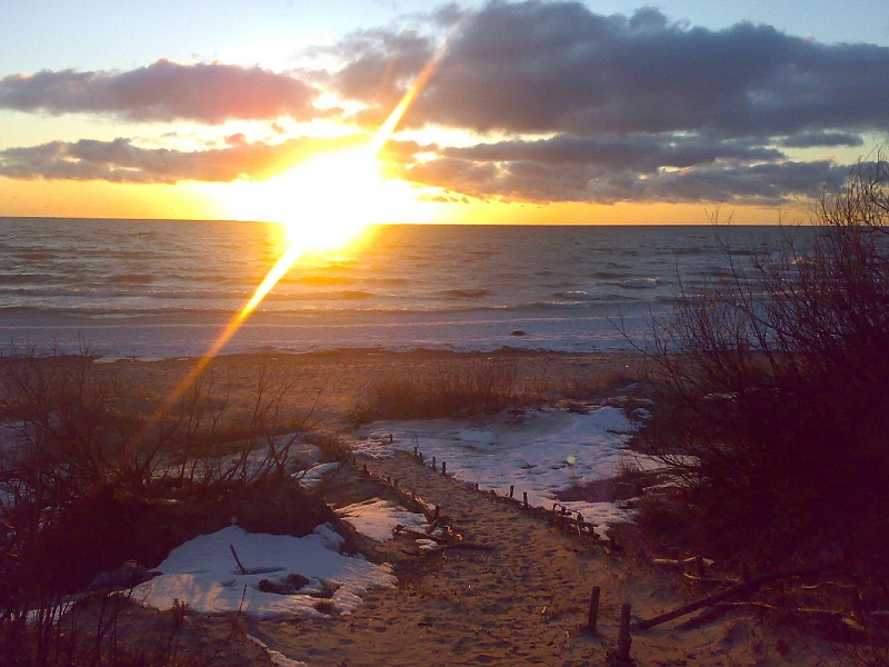 201003161452-692.jpg