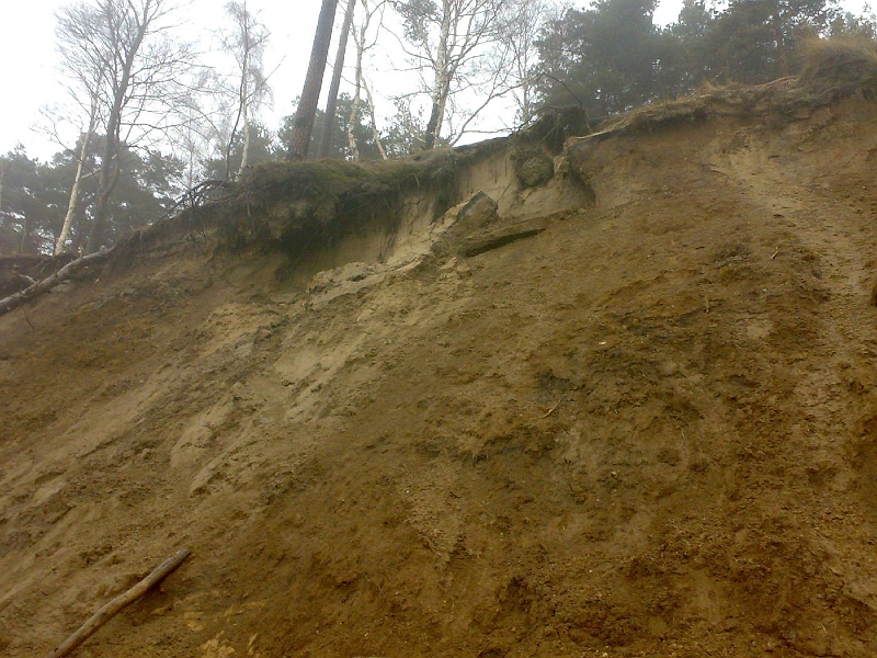 201003211462-697.jpg