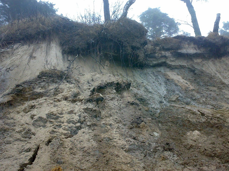 201003211465-700.jpg