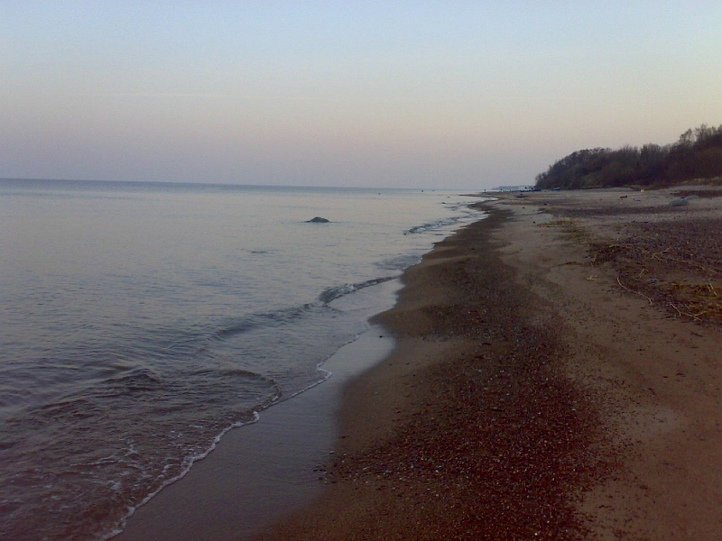 201003311504-709.jpg