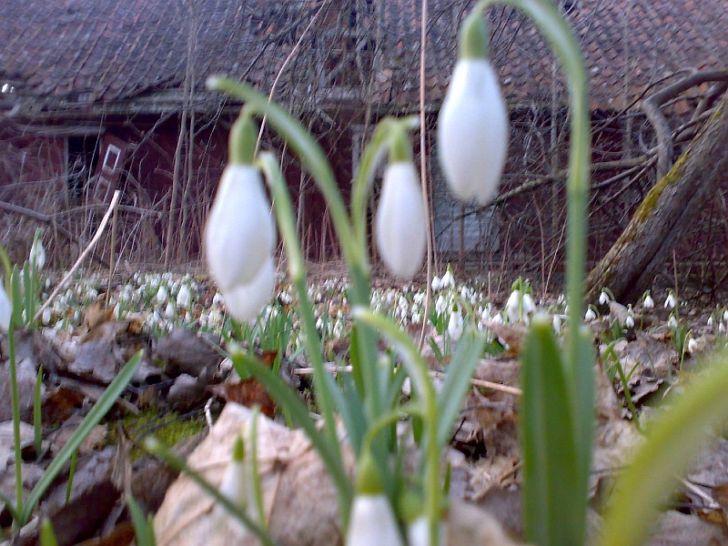 201004011513-718.jpg