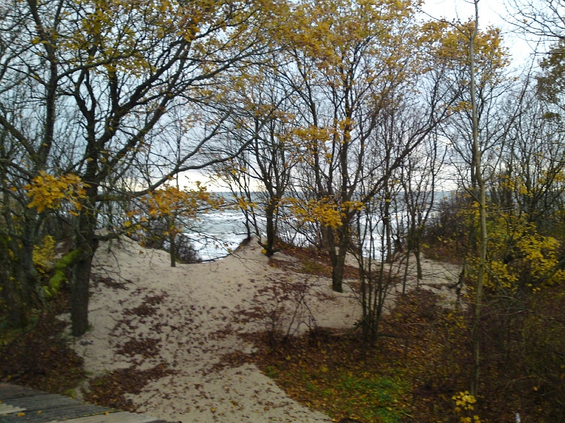 DSC00560-757.jpg