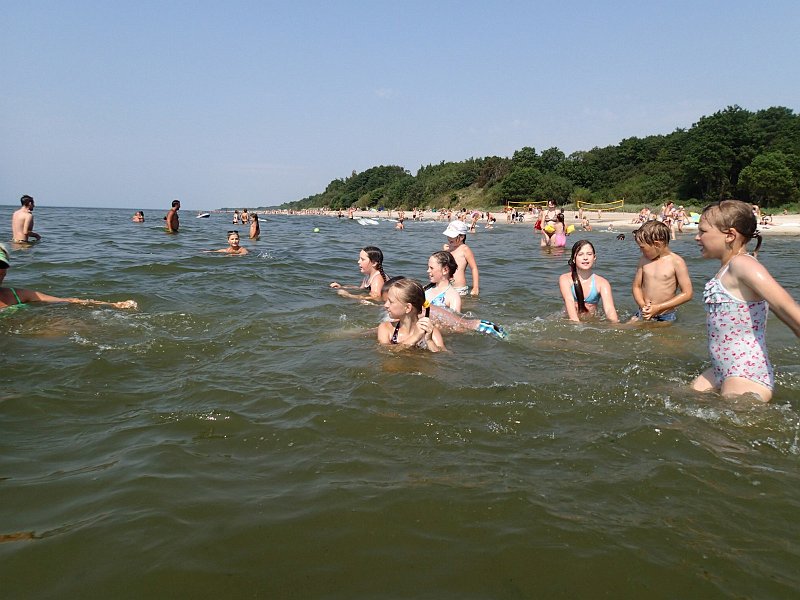 P7291026-84-1791.jpg