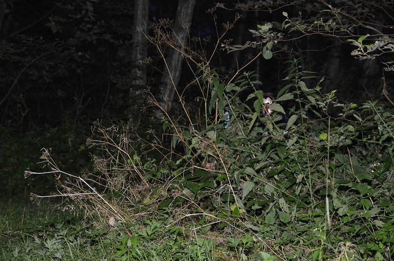DSC_0788-8-2068.jpg