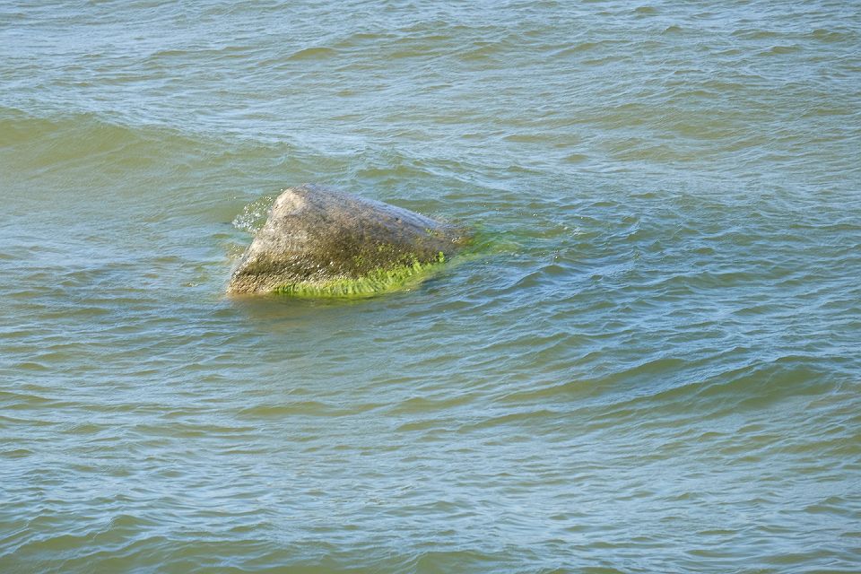 DSCF5221