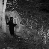DSCF8053.jpg