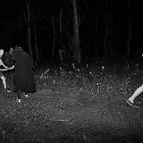 DSCF8058.jpg