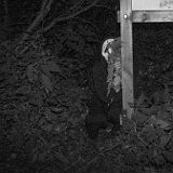 DSCF8080.jpg