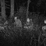DSCF8092.jpg