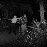 DSCF8094.jpg