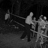 DSCF8100.jpg
