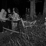 DSCF8103.jpg