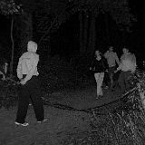 DSCF8133.jpg